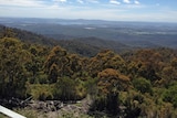 The view looking towards George Town from a Forestry Tasmania fire tower.