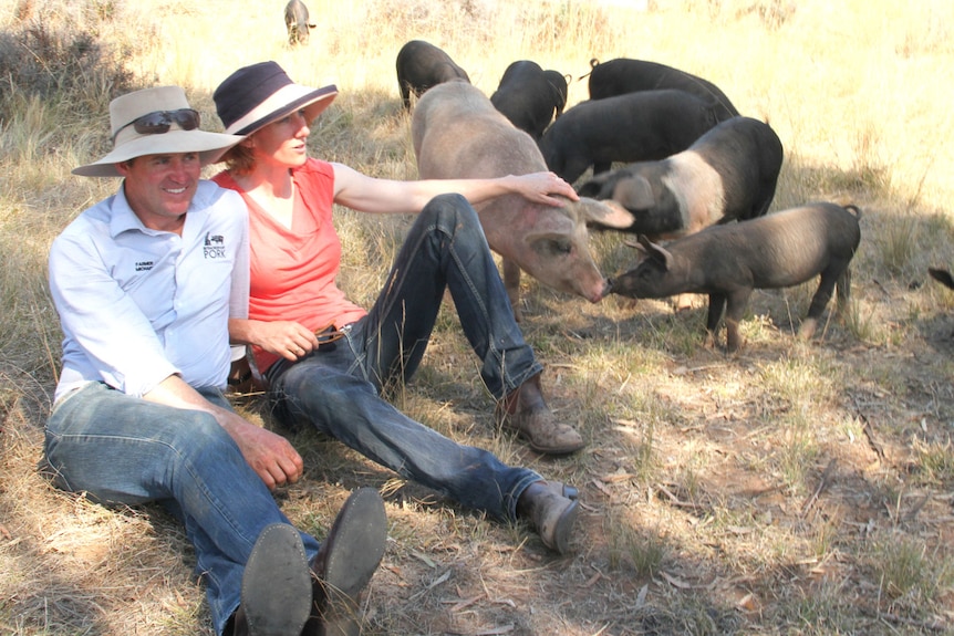Michael and Alex Hicks sitting peacefully with their pasture fed pigs