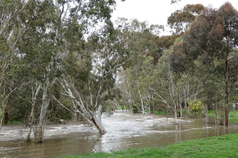 Floods in Hamilton