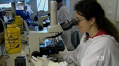 Generic scientist using microscope