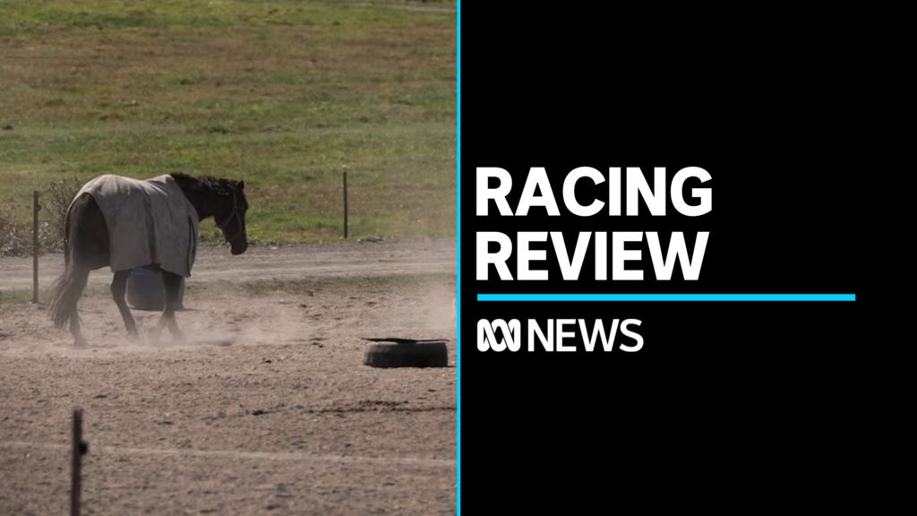 Tasmania's racing industry's landmark report yet to be released - ABC News