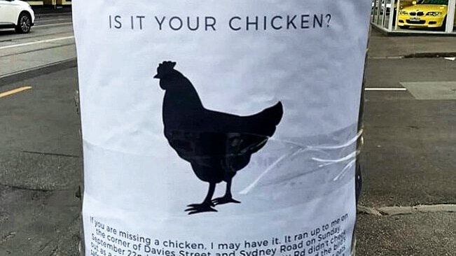 A humourous leaflet, posted in the suburb Brunswick, describing a chicken that was found roaming free