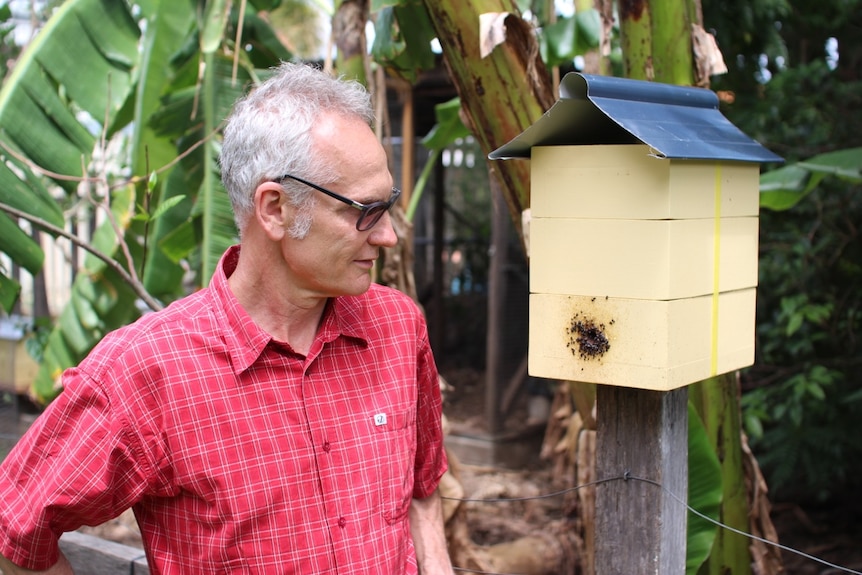 An older, bespectacled man in a  bright shirt regards a letterbox-like bee encolsure.