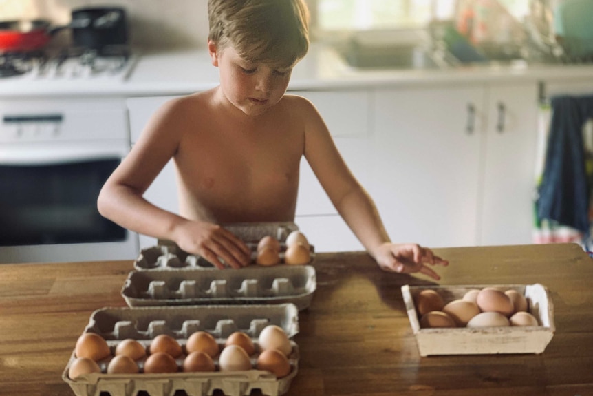 Canungra boy Maximus Turner preparing eggs in cartons with smiley faces to giveaway to elderly residents.