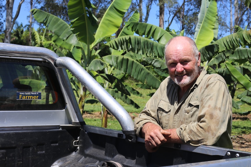 A smiling, unshaven man in a work shirt leans on a ute tray with banana trees behind him.