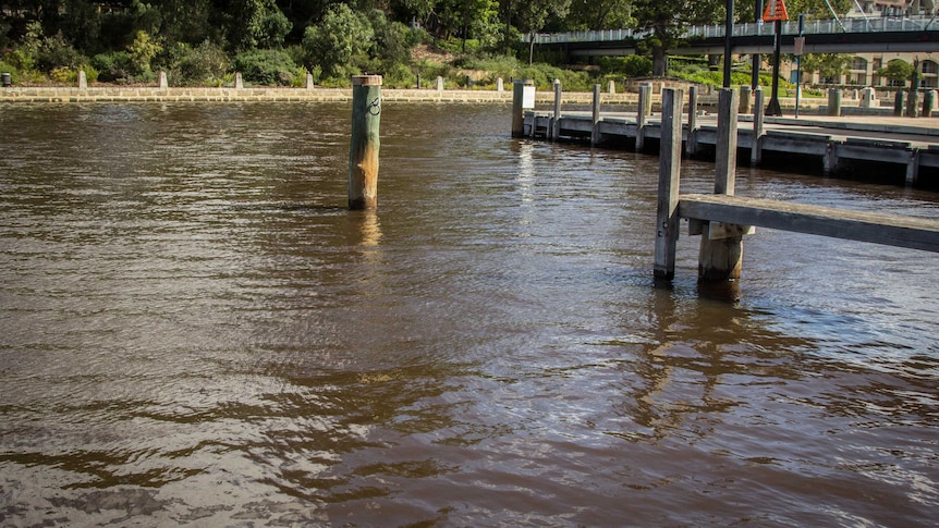 Swan River at Claisebrook Cove