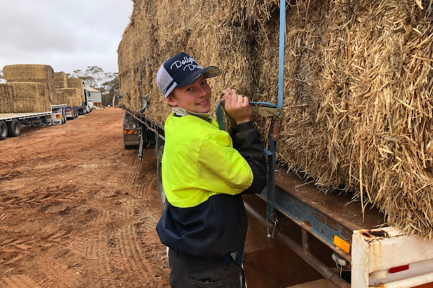 A teenage boy tightens a strap so bales of hay won't fall off the truck he is standing in front of