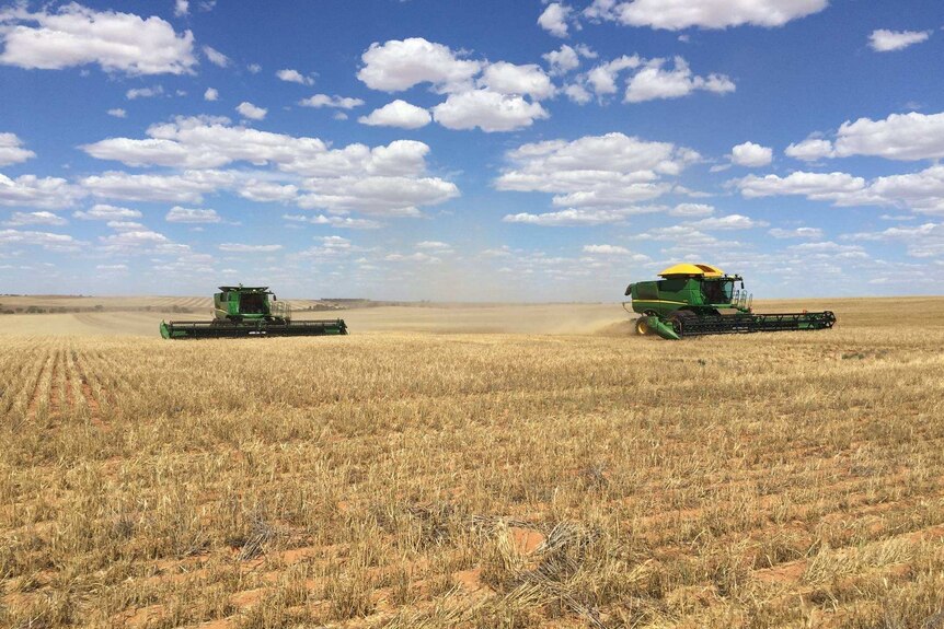 Two harvesters in a field.