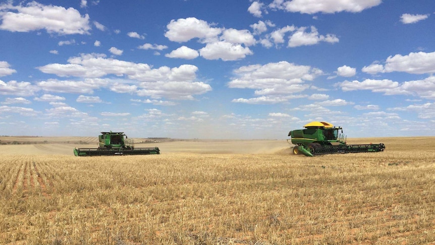 Two harvesters in a field.