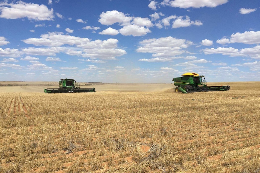 Two harvesters in a field.