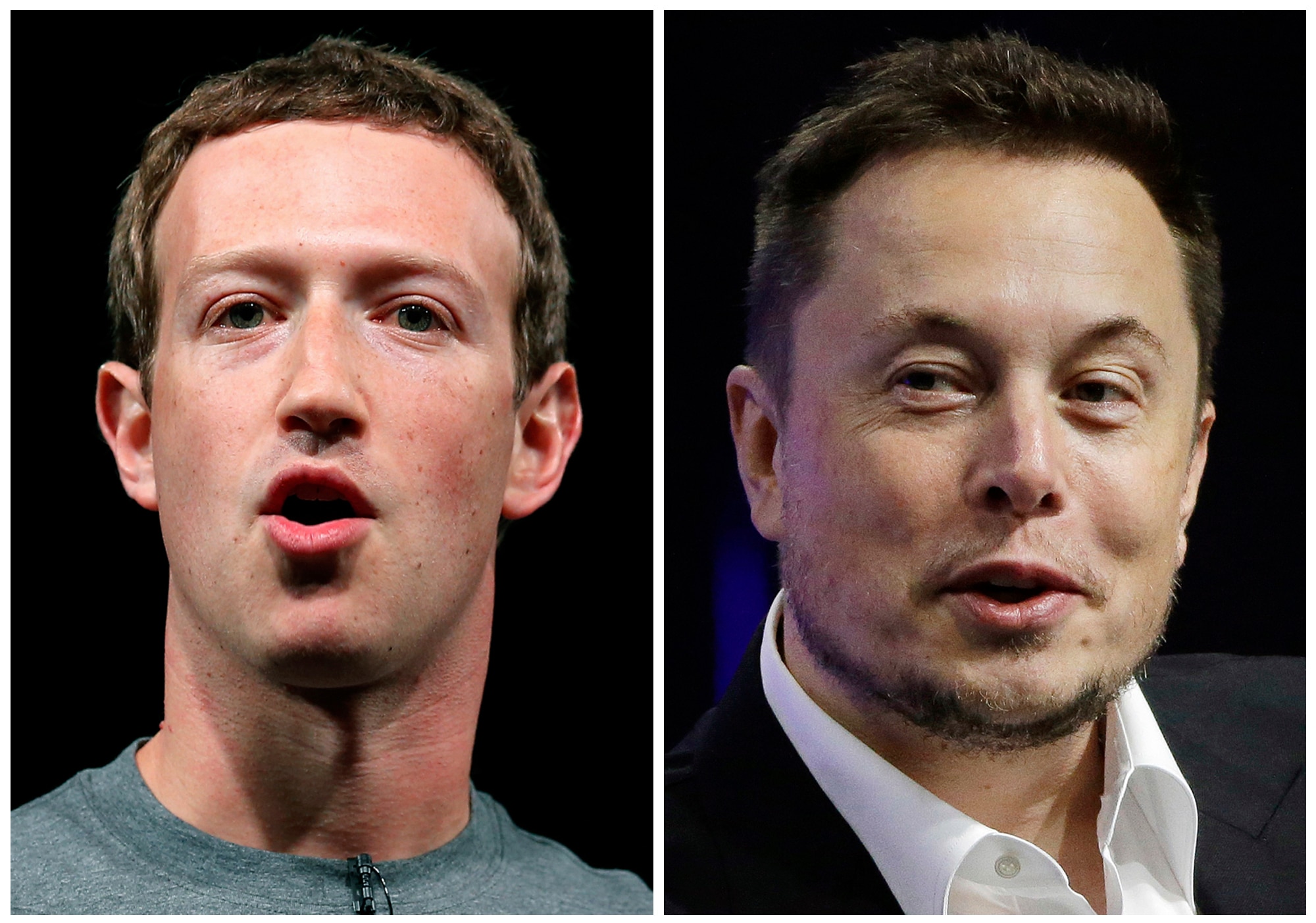 Elon Musk And Mark Zuckerberg Look To Italy To Host Their Planned Cage ...