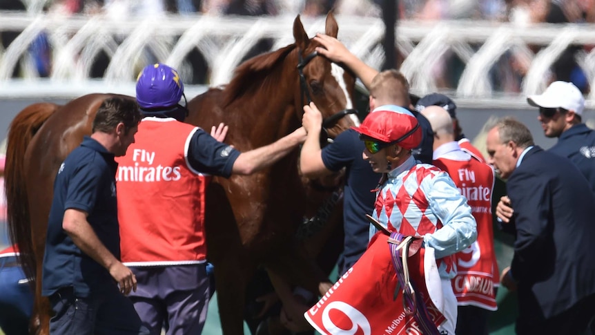 Red Cadeaux is treated after pulling up injured