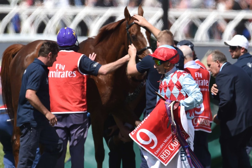 Jockey Gerald Mosse walks past Red Cadeaux after it failed to finish the Melbourne Cup