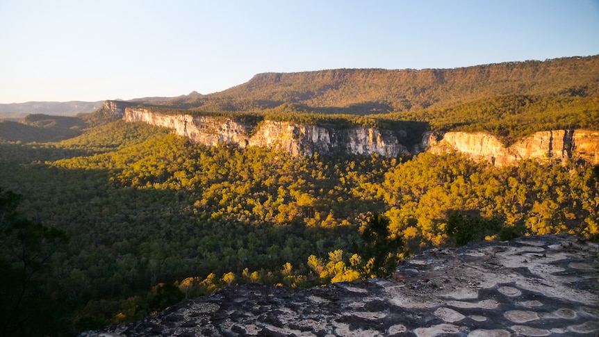 Sandstone cliffs and a trees as far as the eye can see
