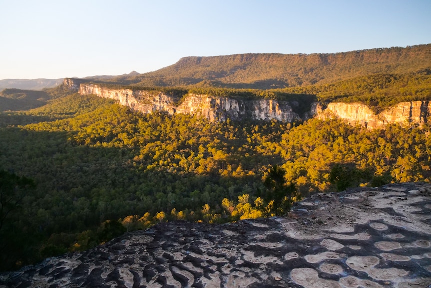 Sandstone cliffs and a trees as far as the eye can see