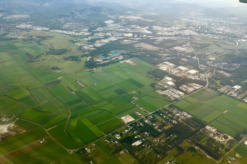 Helicopter shot of cane fields at Rocky Point.
