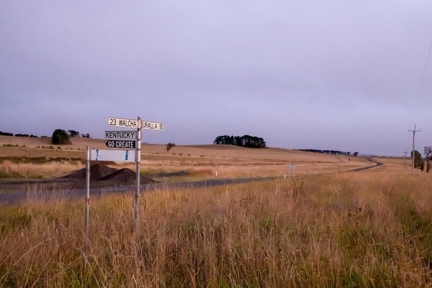 A country road and sign post near Walcha, NSW, March 2023.