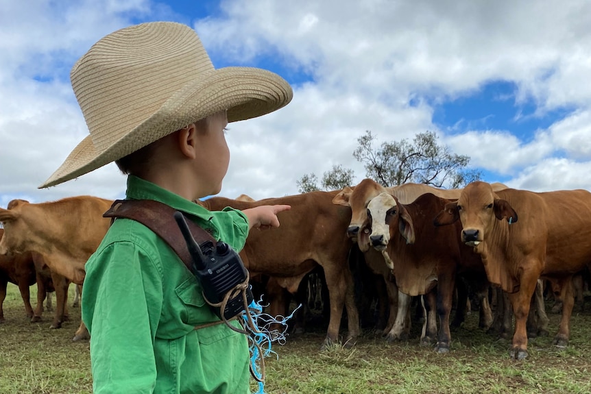 A young boy wearing a cowboy hat stands and points at a herd of close by cattle.