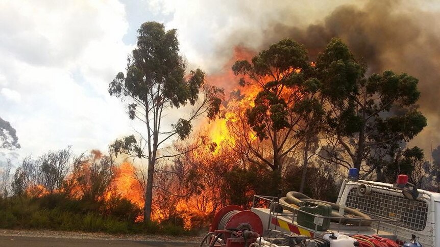 Bushfire on roadside