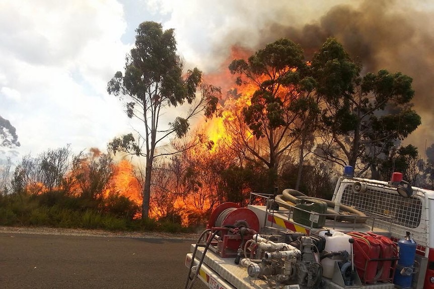 Bushfire on roadside with light fire appliance in foreground on a road in Tasmania.