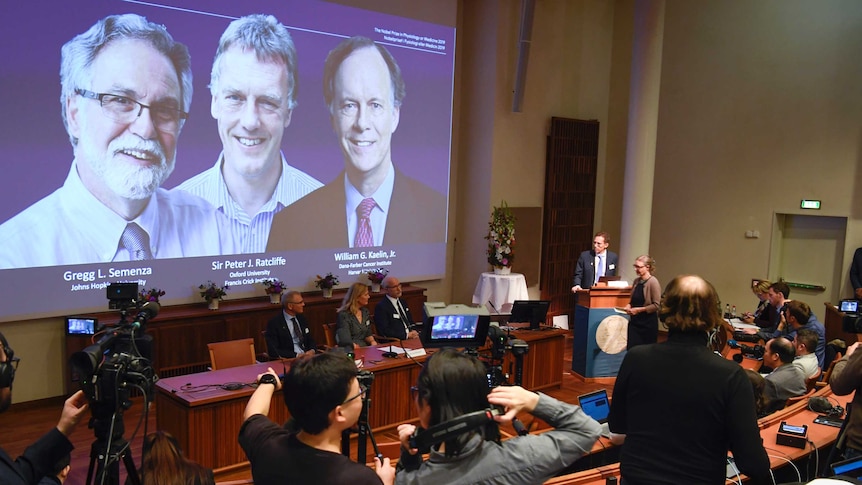 The faces of the three scientists are shown on a screen behind Thomas Perlmann at a press conference in Stockholm