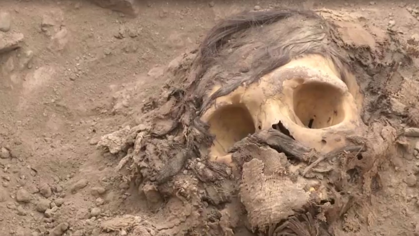 A skull submerged in dirt.