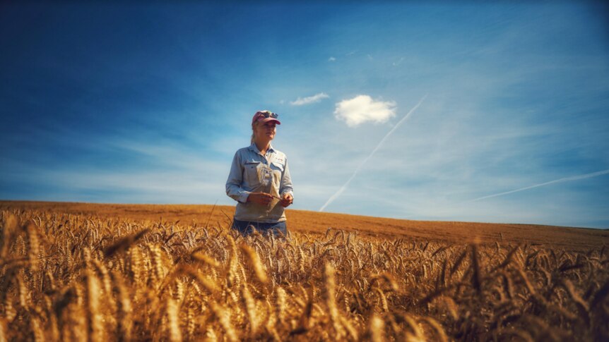 A young, blonde woman stands in a wheat field on a sunny day.