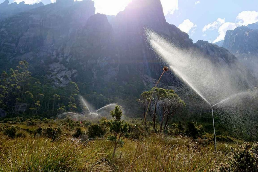 Water sprinklers in Tasmanian wilderness