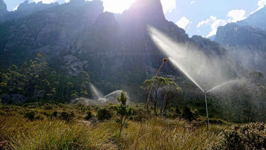 Water sprinklers in Tasmanian wilderness