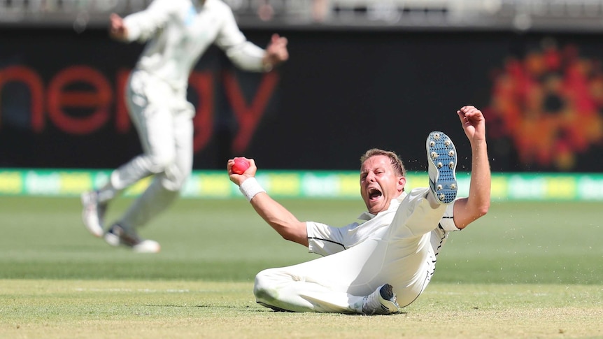 Neil Wagner celebrates while sprawled on the deck after taking a reflex return catch