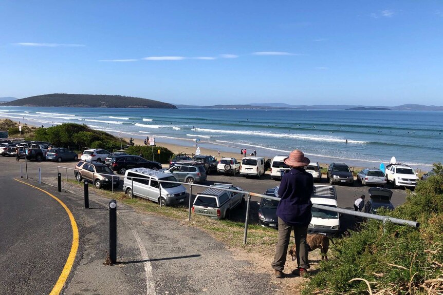 A beach-side carpark full of vehicles on a sunny day.