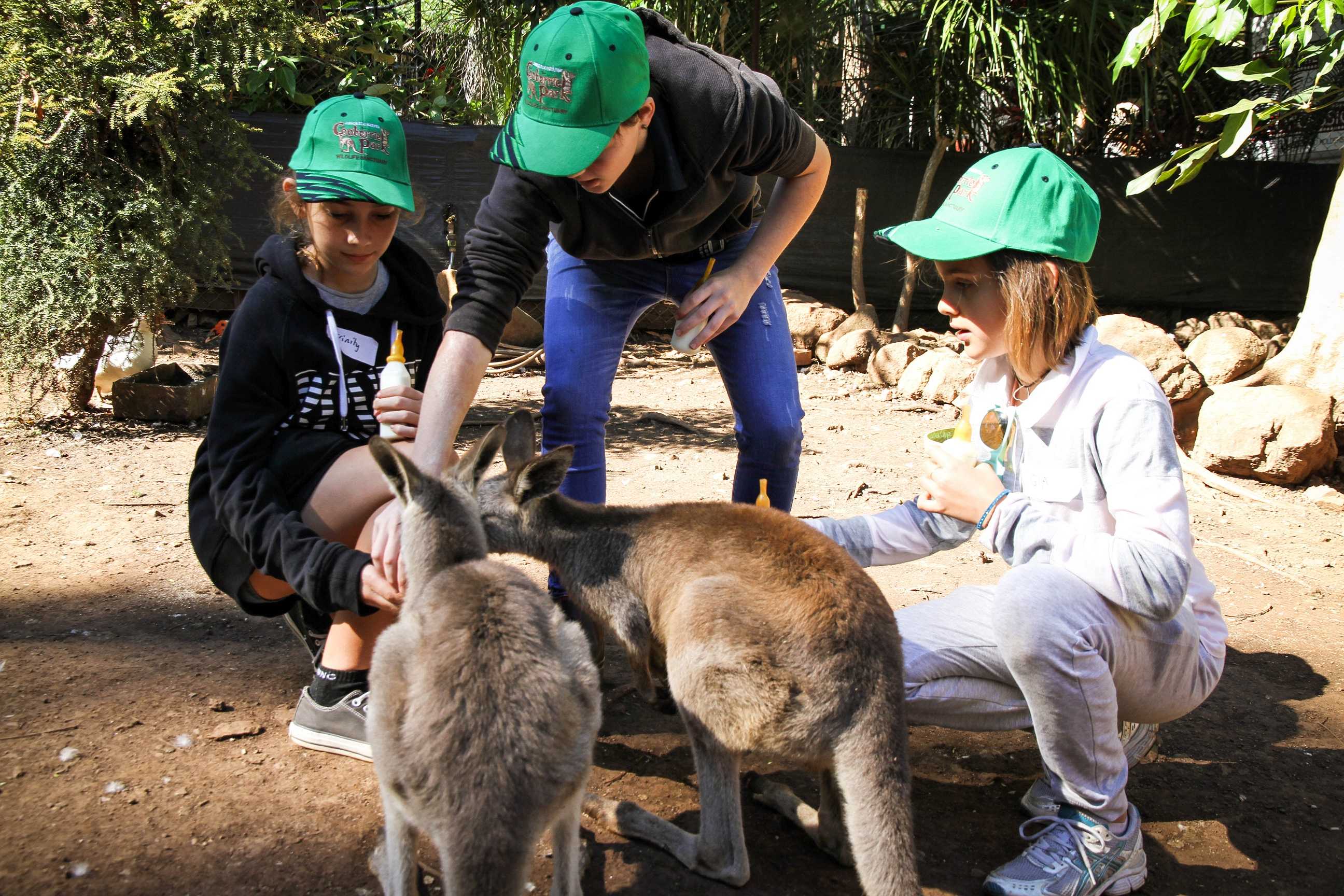 Junior zoo keeper training at Cooberrie Park Wildlife Sanctuary ABC News