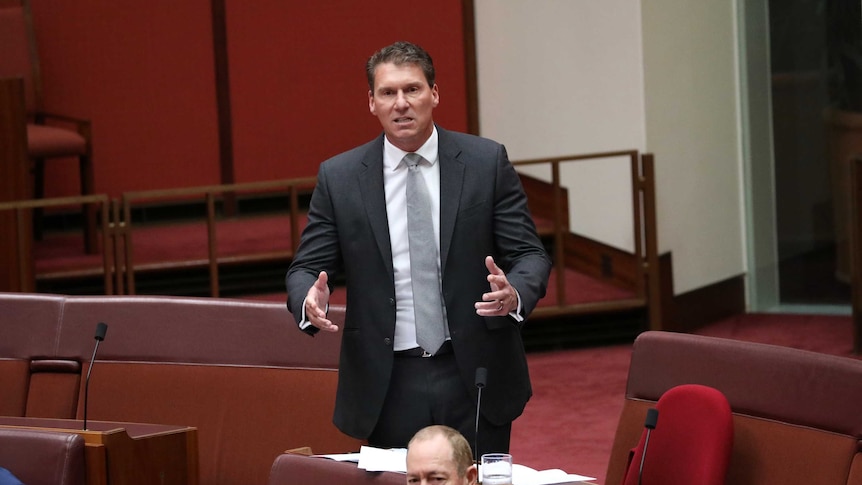 Wearing a black suit, Cory Bernadi stands and gestures while speaking in the Senate.