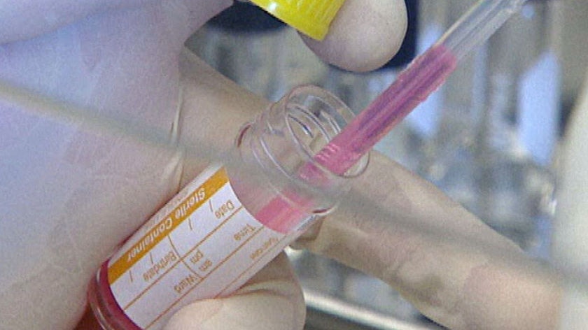 Vaccine: The AMA has urged people who are vulnerable to the flu to get vaccinated.