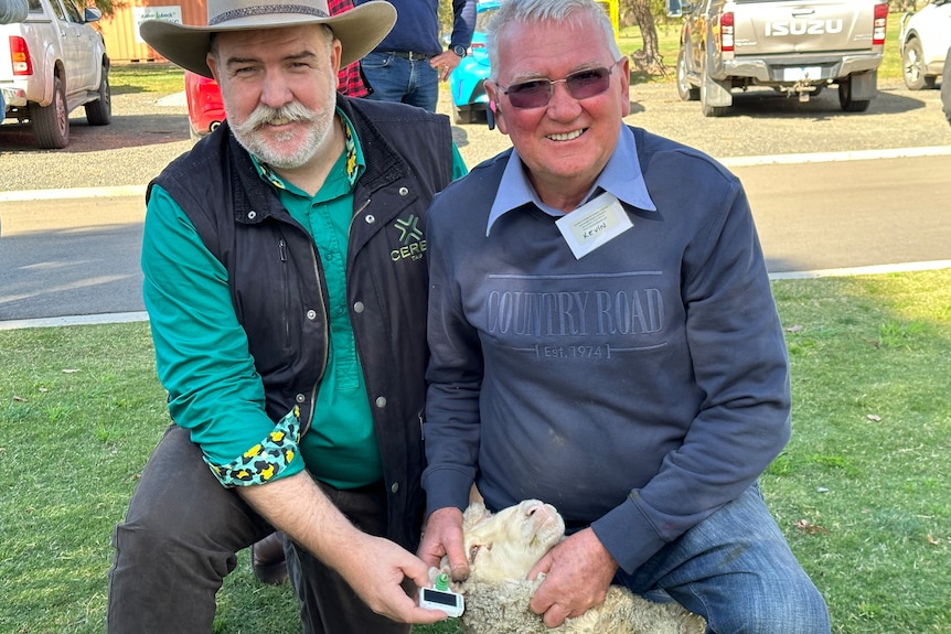 Image of two men holding a sheep with a ear tag.
