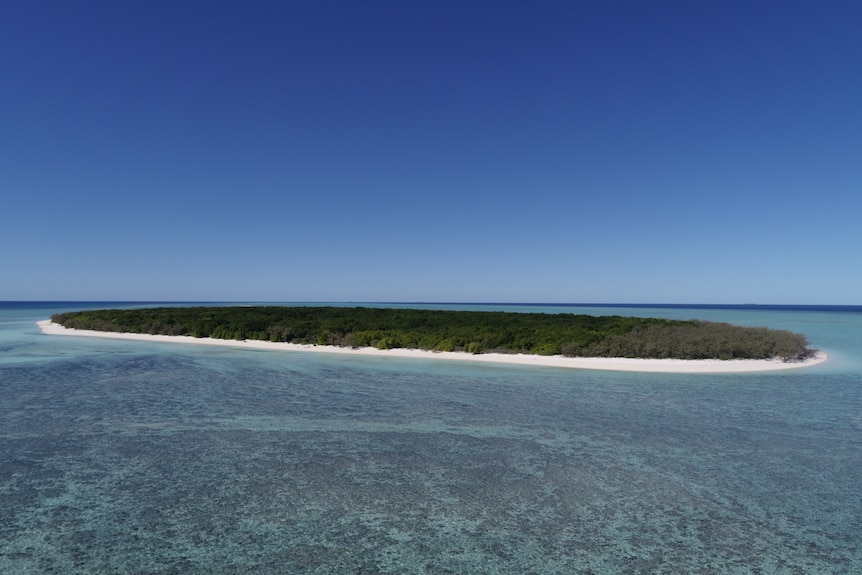 Birds eye view of an oval shaped island, clear water, coral reef, pristine white sand and trees.