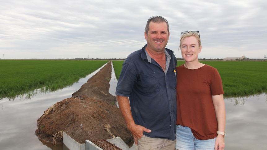 A man and a woman standing in front of a green rice crop which is growing in irrigation water.