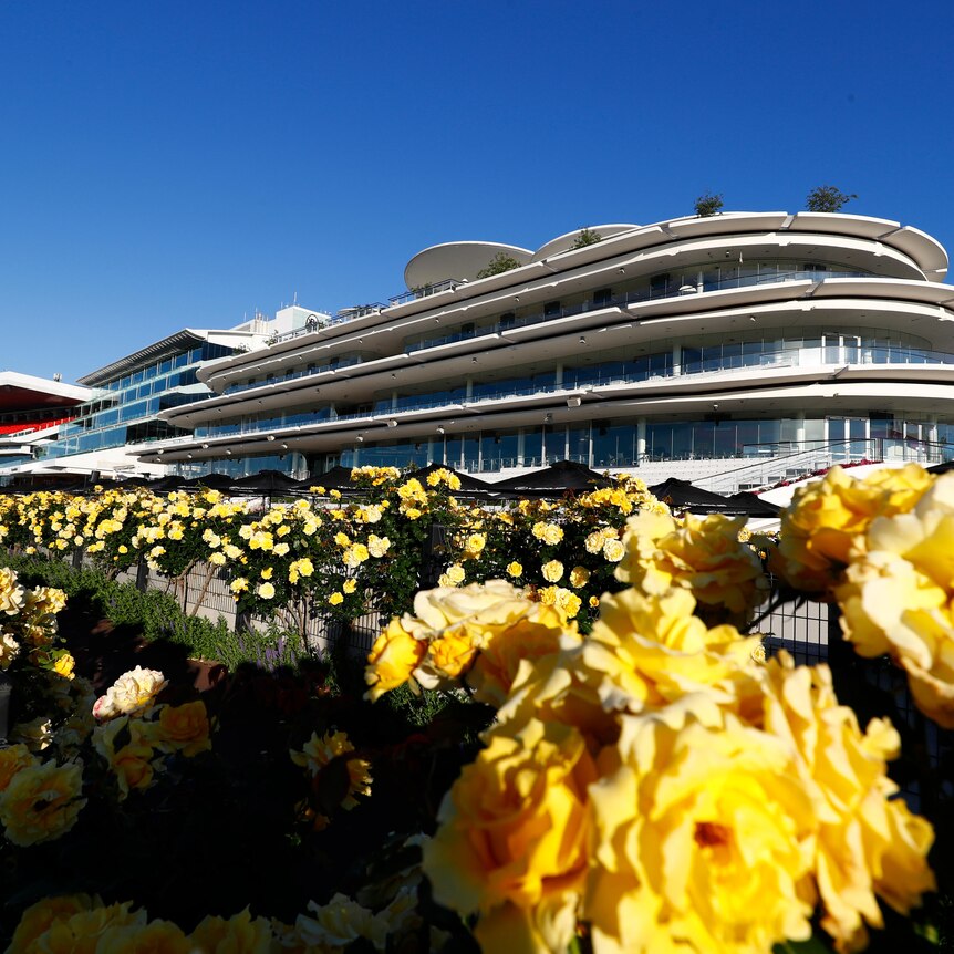 Yellow roses frame a photograph of the Flemington Racecourse stands under a sunny blue sky.