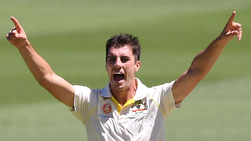 Australia bowler Pat Cummins points both fingers to the sky as a Sri Lanka batsman stands with his back to the camera.