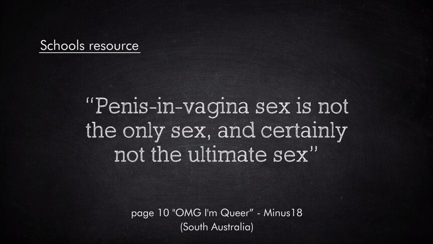 screenshot saying Schools resource: "Penis-in-vagina sex is not the only sex and certainly not the only sex"