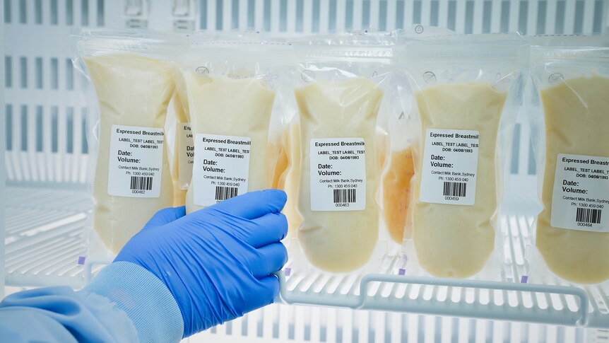 A hand with a blue glove reaches into a fridge containing bags of labelled donated breast milk.
