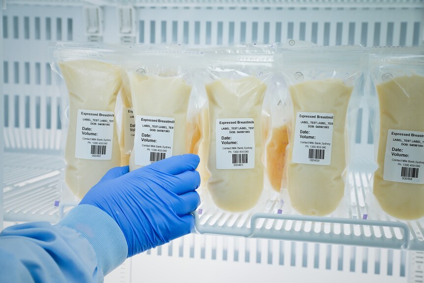 An image of breastmilk in plastic packaging in a refrigerator with a persons hand (in scrubs) holding on bag