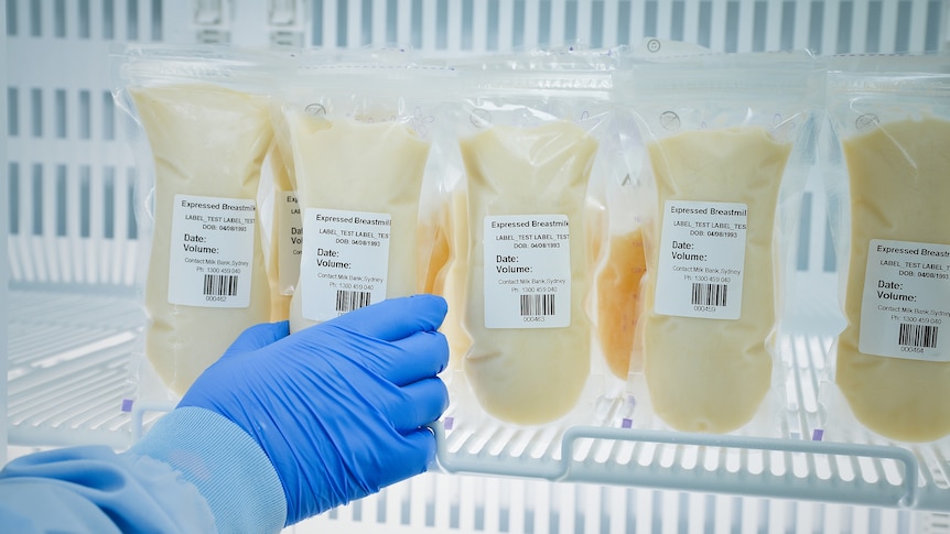 A hand with a blue glove reaches into a fridge containing bags of labelled donated breast milk.