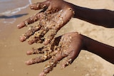 A picture of open palms of both hands with yellow sand covering them on a beach