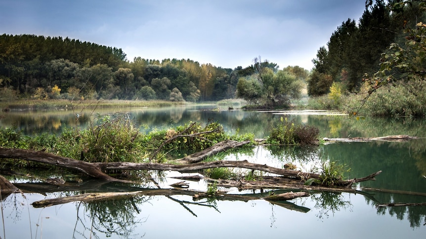 The wide expense of the Danube River Basin in Slovakia (Pixabay: Lubos Houska)