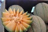 Melons the source of two food contamination outbreaks in 2011 and 2012 in the US