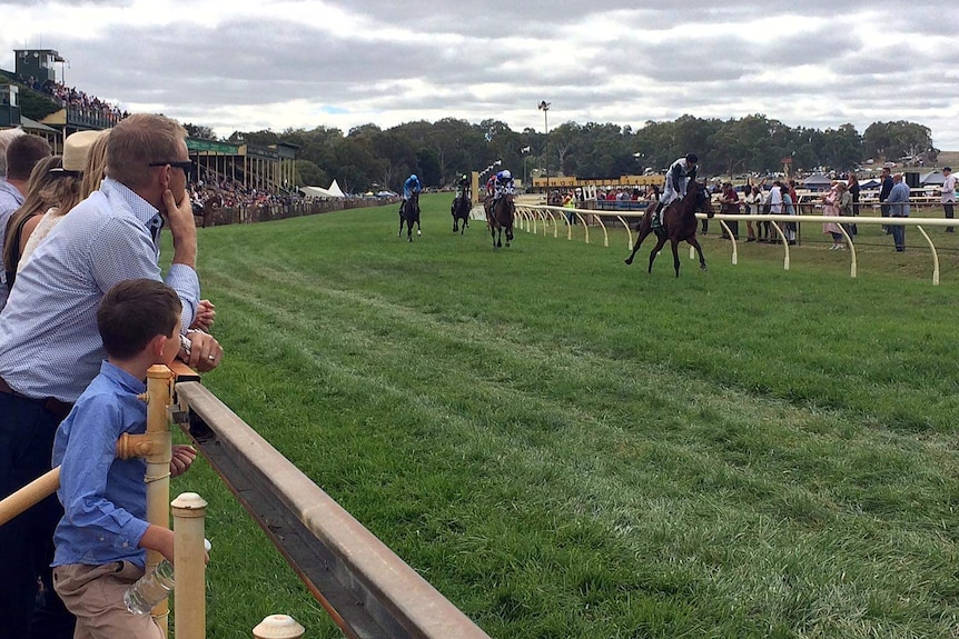 Spectators watch the races Oakbank Racecourse.