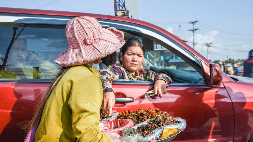 Woman buys tarantulas from a platter through her car window