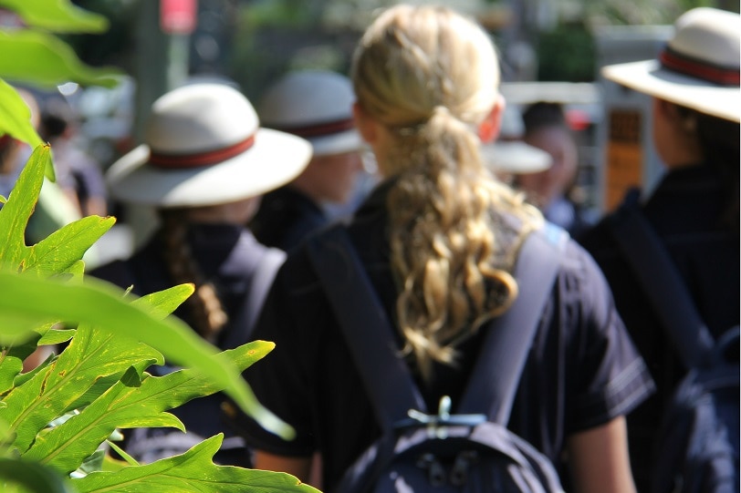 Students line up for buses