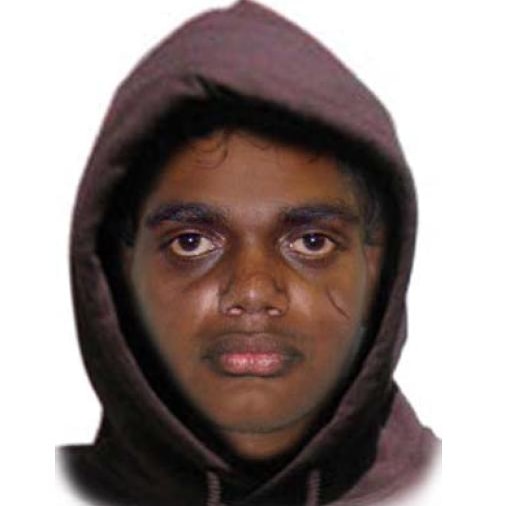 Comfit of man thought to be involved in Annerley attempted abduction